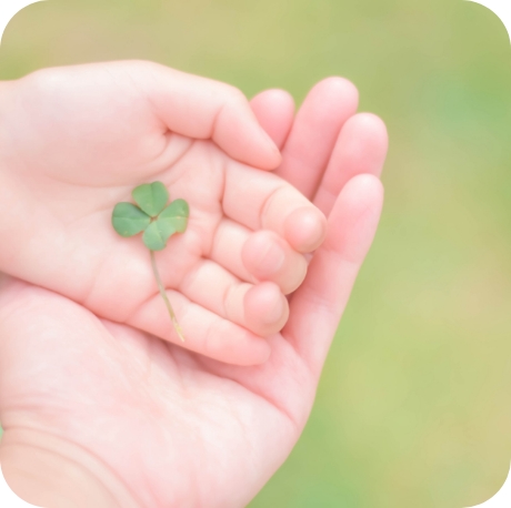 クローバーを持つ手